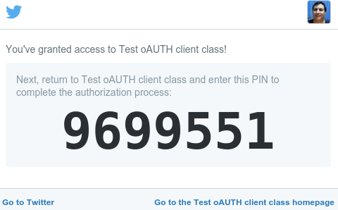 Pin code displayed by Twitter after the user authorizes the application